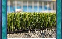 Umetna trava ne pozebe