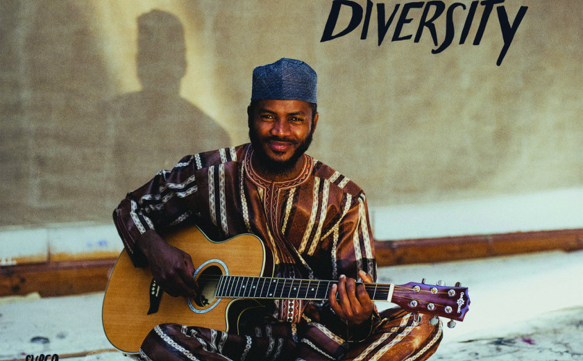 Ebo Krdum: Diversity 