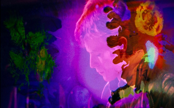 Davidova toksikomanija, Klopca pod svobodnim soncem, Jean Nikolič & Rok Pibernik