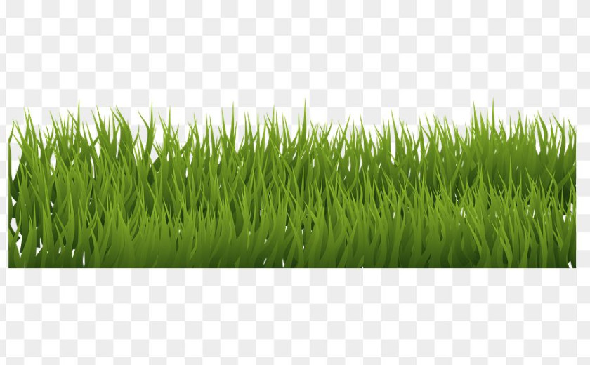 aveš trava, zeleno,, pa to hehe. bl zelene rizle mislu drgač 