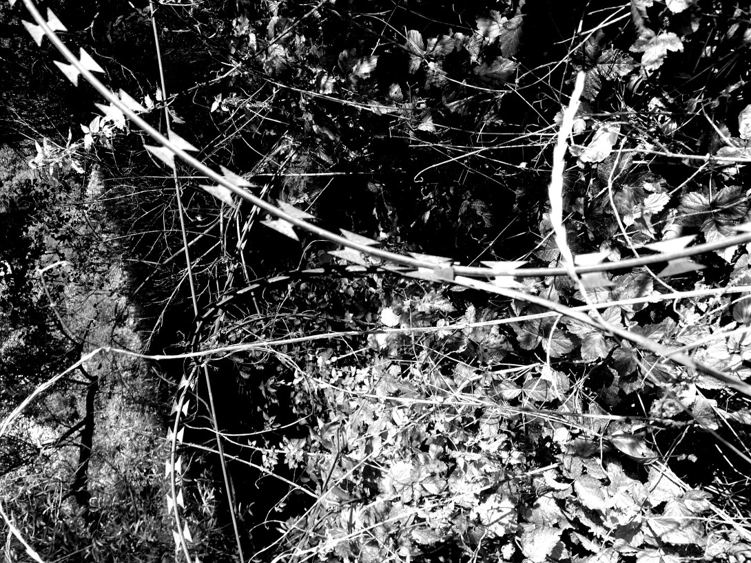 Seznam skladb za 9. 10. 2023, 15.00–19.00 (Mitja Hlupič)