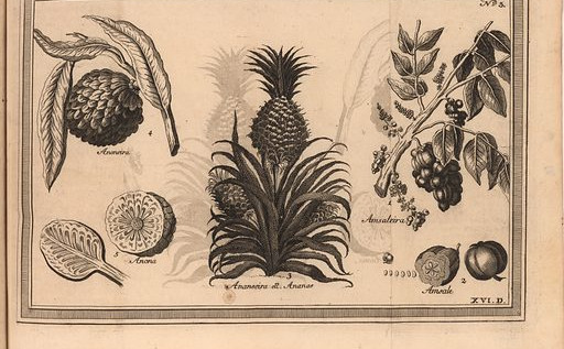 TLŠ je rekla ananas v kadilnici okoli 19.35 